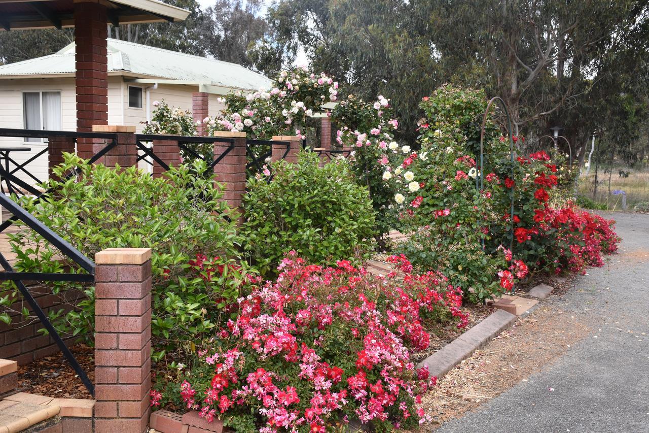 Mount Barker Valley Views Motel & Chalets, Western Australia Buitenkant foto