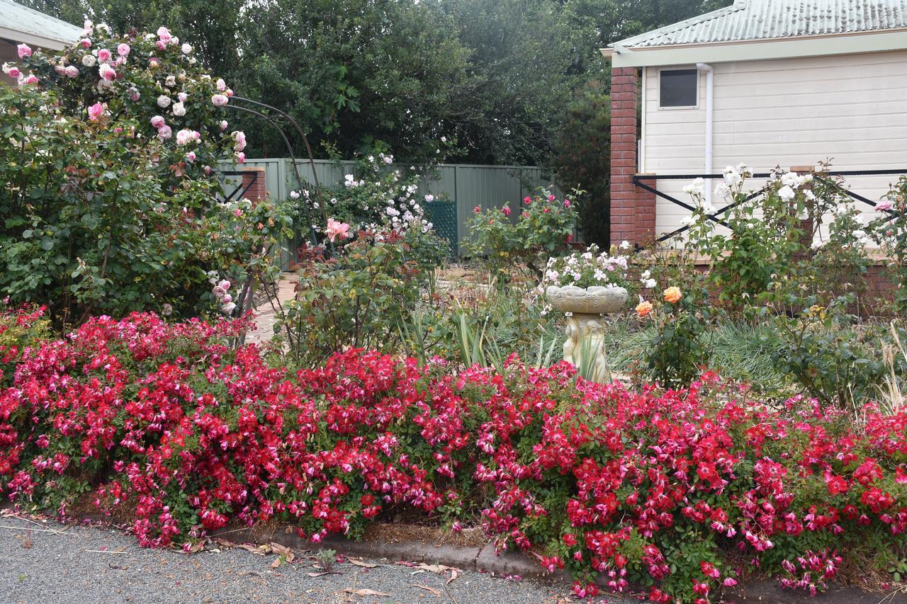 Mount Barker Valley Views Motel & Chalets, Western Australia Buitenkant foto